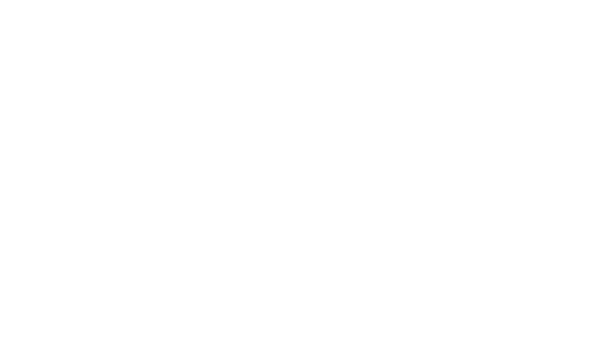 Travesía Norte Sur S.A.S.